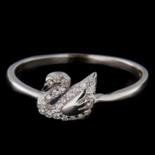 Stříbrný prsten 56301