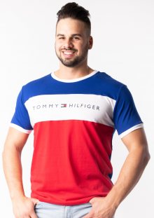 Pánské tričko Tommy Hilfiger UM0UM01170 XL Dle obrázku