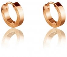 Victoria Walls Pozlacené náušnice kruhy VE1048G