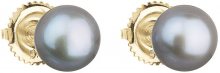 Evolution Group Zlaté náušnice pecky s pravými perlami Pavona 921004.3