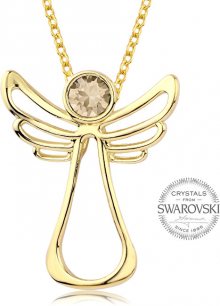 Levien Pozlacený náhrdelník s krystalem Guardian Angel LE0123