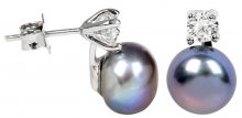 JwL Luxury Pearls Stříbrné náušnice s pravou kovově modrou perlou a krystalem JL0248