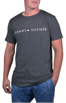 Tommy Hilfiger Pánské triko Cn Ss Tee Logo Flag UM0UM01434-884 Magnet XL