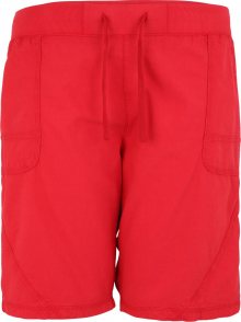 Zizzi Kalhoty červená