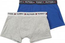 Tommy Hilfiger Underwear Spodní prádlo modrá / šedá