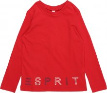 ESPRIT Tričko červená / černá / bílá