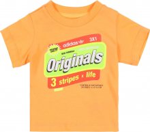ADIDAS ORIGINALS Tričko tmavě oranžová
