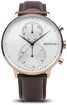Bering Classic 13242-564