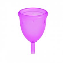 Ladycup Menstruační kalíšek Letní švestka velikost S barva fialová