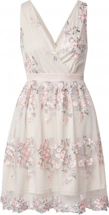 Boohoo Šaty \'Floral Embroidered Mesh Skater Dress\' růžová / mátová