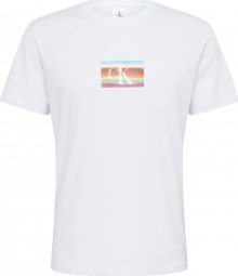 Calvin Klein Jeans Tričko \'PRIDE MULTI LOGO REGULAR SS TEE\' mix barev / bílá