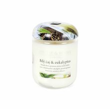 Albi Vonná svíčka střední Bílý čaj & eukalyptus 115 g