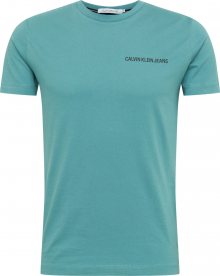 Calvin Klein Jeans Tričko \'Institutional\' světle zelená / černá džínovina