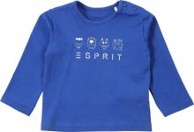 ESPRIT Tričko modrá / bílá