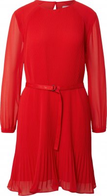 Calvin Klein Šaty červená