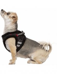 Bunda pro psa Trespass