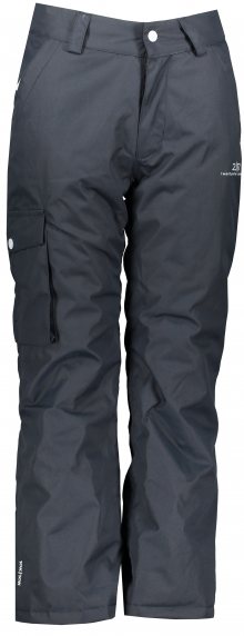 TÄLLBERG - junior zimní lyžařské/SNB kalhoty - inkoustové - 2117 176