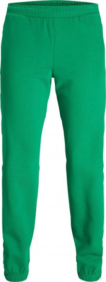 JJXX Kalhoty \'Alberte\' trávově zelená