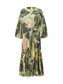 Ted Baker Šaty \'Juliye\' zelená / světle zelená / pastelově zelená / světle hnědá / jedle