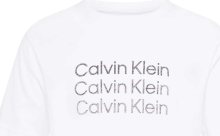 Calvin Klein Performance Funkční tričko šedá / bílá