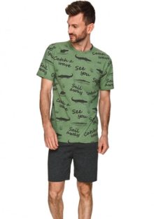 Pánské pyžamo Taro 2728 | zelená | L