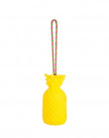 Sunnylife Pineapple Soap on a Rope SUISORPI