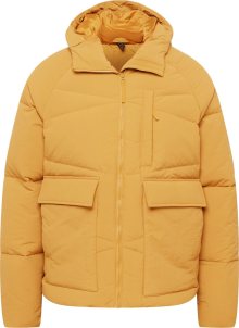 ADIDAS SPORTSWEAR Outdoorová bunda koňaková