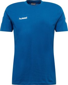 Funkční tričko Hummel modrá / bílá
