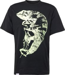 Funkční tričko Nike světle zelená / černá