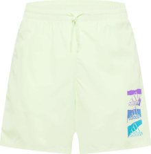 Sportovní kalhoty \'Essentials BrandLove Chelsea\' ADIDAS SPORTSWEAR pastelově zelená / mix barev
