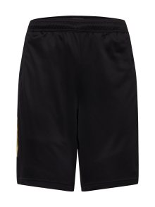 Sportovní kalhoty \'Tiro Wordmark\' ADIDAS SPORTSWEAR zlatá / černá