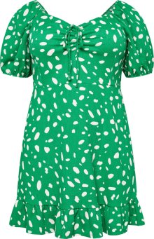 Šaty Dorothy Perkins Curve zelená / bílá