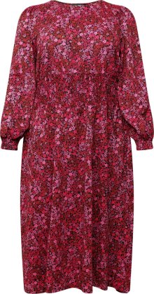 Šaty Dorothy Perkins Curve pitaya / světle růžová / černá