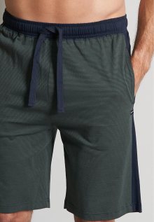 Plavecké šortky Tom Tailor námořnická modř / tmavě zelená