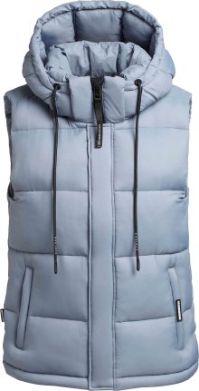 Vesta \'Eden\' khujo světlemodrá