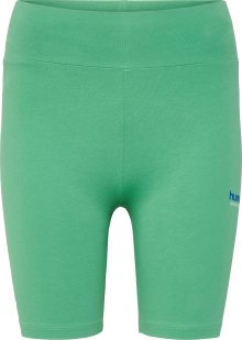 Sportovní kalhoty \'Cameron\' Hummel enciánová modrá / zelená