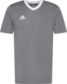 Funkční tričko \'Entrada 22\' ADIDAS SPORTSWEAR šedá / bílá