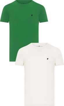 Tričko DENIM CULTURE zelená / bílá