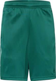 Sportovní kalhoty \'Tiro Wordmark\' ADIDAS SPORTSWEAR tmavě zelená / bílá
