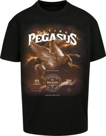 Tričko \'Pegasus\' mister tee světlemodrá / pueblo / mokka / bílá