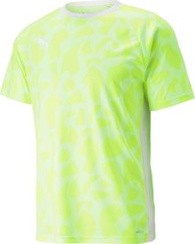 Funkční tričko \'TeamLIGA\' Puma pastelově zelená / světle zelená / bílá