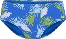 Spodní díl plavek Lingadore modrá / zelená / pink