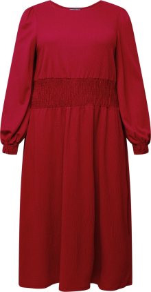 Šaty \'Berry\' Dorothy Perkins Curve červená třešeň