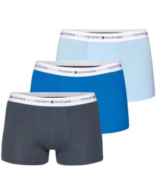 Pánské boxery Tommy Hilfiger UM0UM02761 | modrá | L