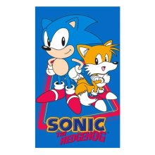 Dětský ručník Ježek Sonic 30x50 cm | dle fotky | 