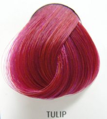 barva na vlasy DIRECTIONS - Tulip